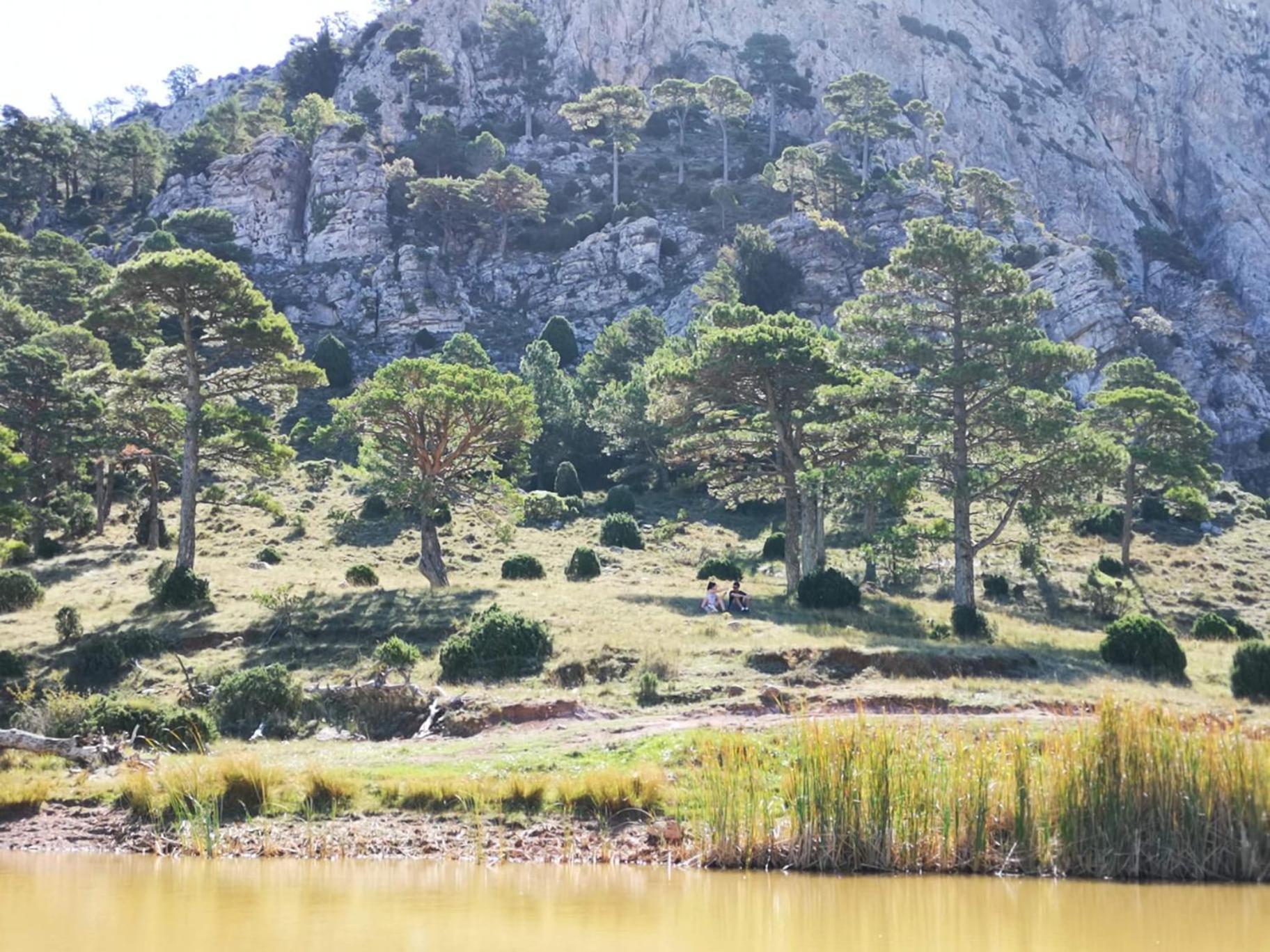 Hébergement de vacances L'antic Forn De *