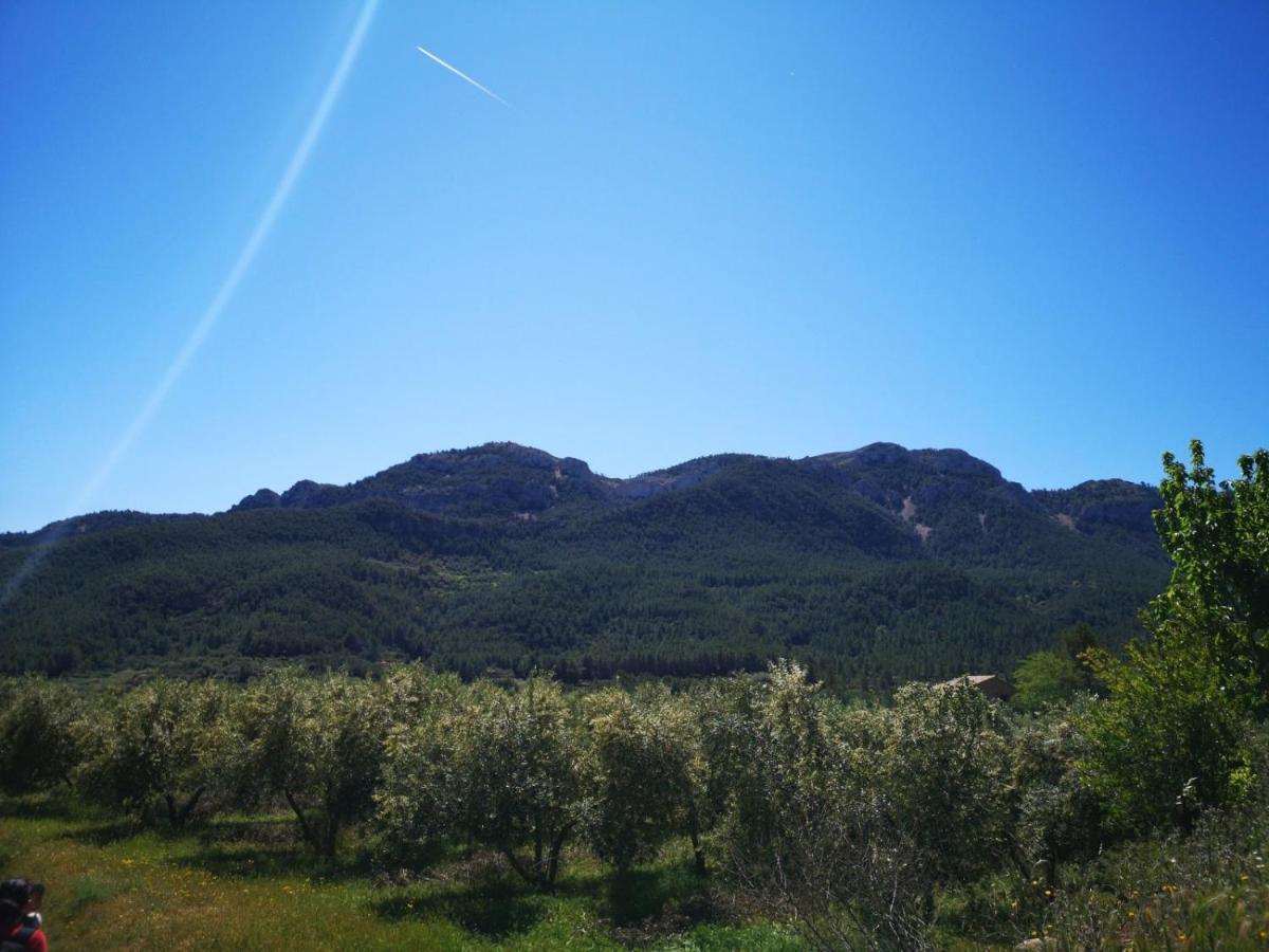 L'antic Forn De